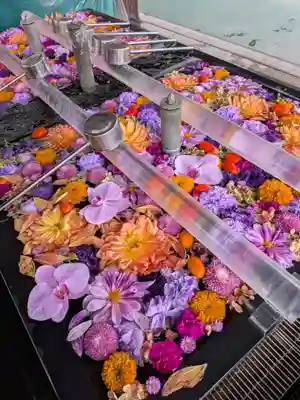 成田山深川不動堂（新勝寺東京別院）(東京都)