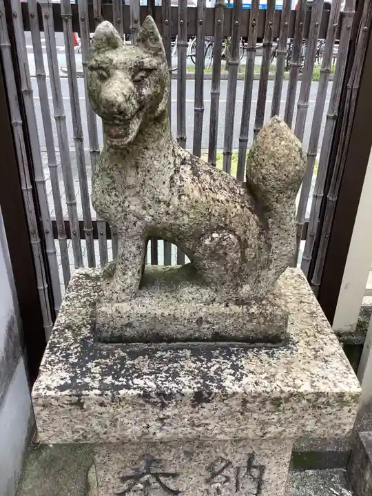 地蔵院の狛犬
