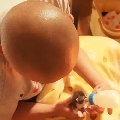 天王山 安楽寺(福井県)