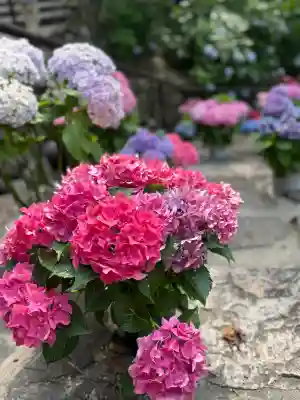 長谷寺(奈良県)