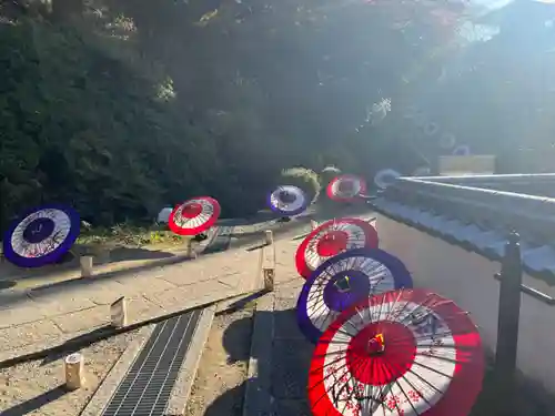 岡寺（龍蓋寺）(奈良県)