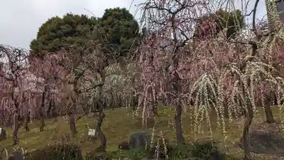 城南宮(京都府)