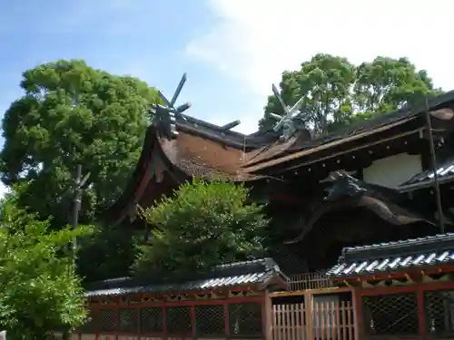 百舌鳥八幡宮の本殿