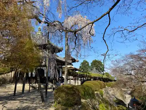 善峯寺の景色