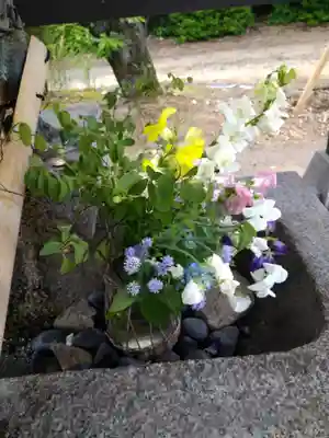 木華佐久耶比咩神社の手水舎