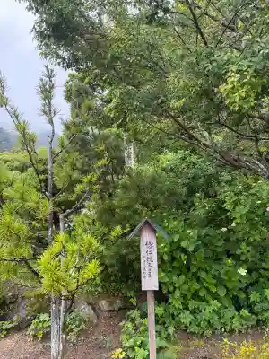善峯寺(京都府)