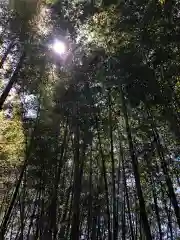 鹿島台神社の自然