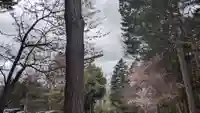 上川神社の自然