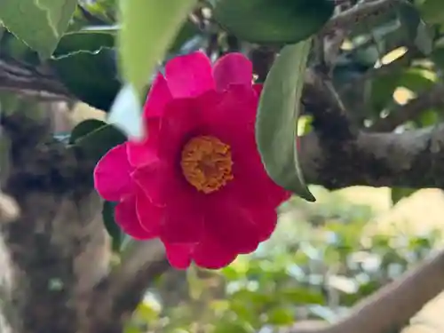 西方山極楽寺(岐阜県)