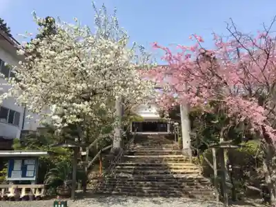 金刀比羅宮鳥羽分社のその他建物