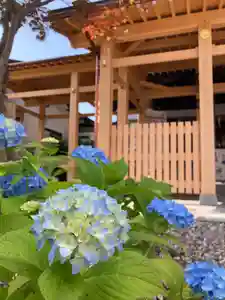 總社 和田八幡宮(福井県)(2023年06月04日(日) 16時38分41秒投稿)