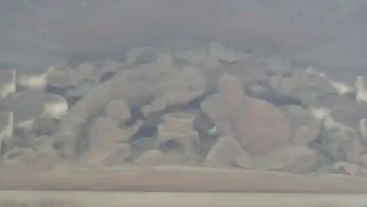 三囲神社の芸術