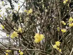 鶴峯八幡宮(千葉県)