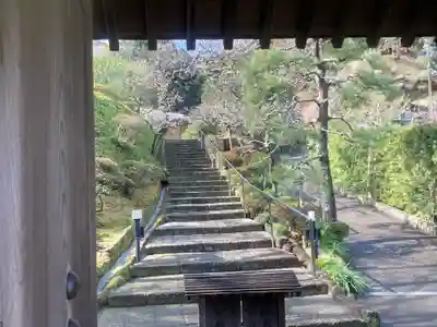 禅居院(神奈川県)