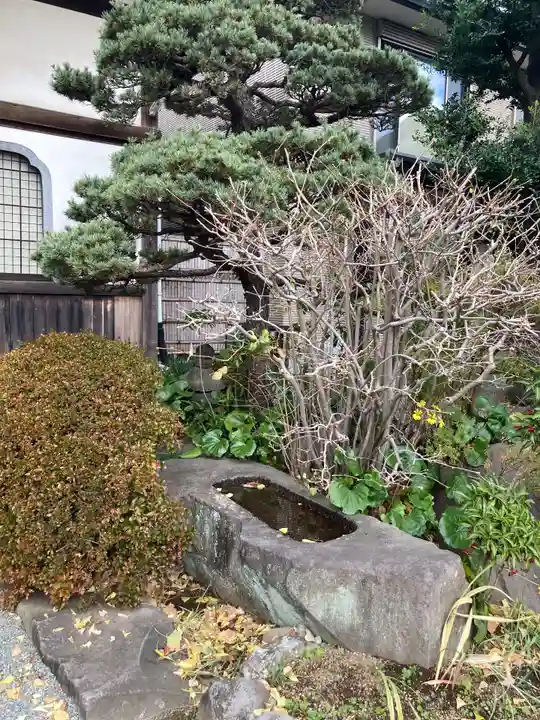 光円寺(神奈川県)