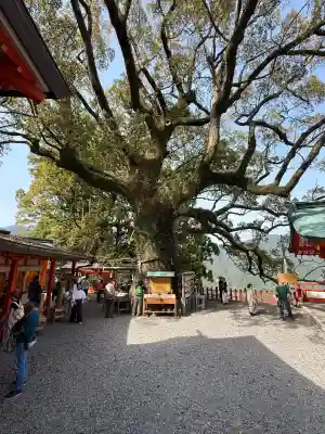 熊野那智大社(和歌山県)