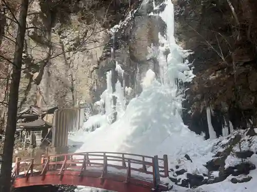 上尾御嶽神社の自然
