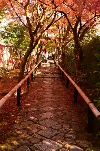 光悦寺(京都府)