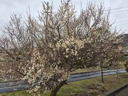 円照寺(兵庫県)