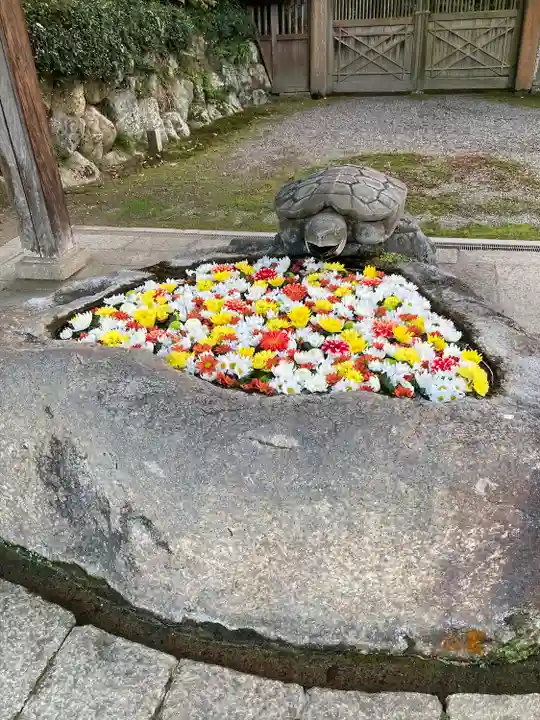 兵主大社の手水舎