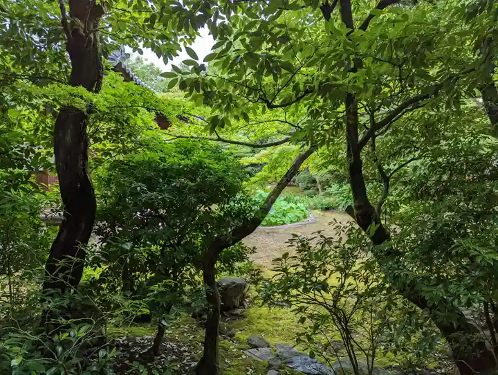 本法寺(京都府)