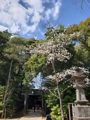 赤坂氷川神社(東京都)
