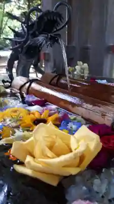 札幌護國神社の手水舎
