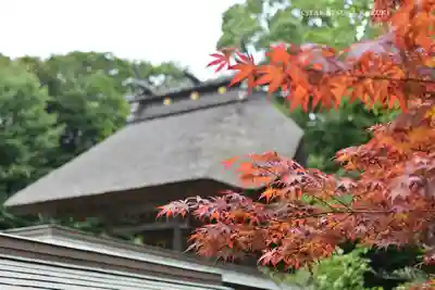 大洗磯前神社(茨城県)