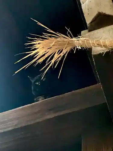 道明寺天満宮の動物