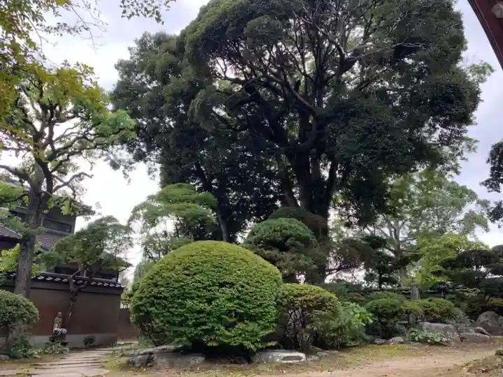 圓明寺(千葉県)