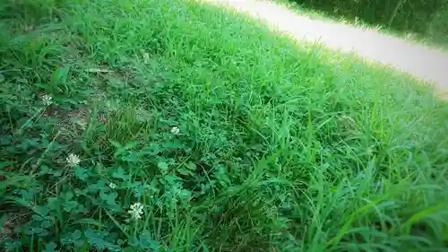 若宮神明社の自然