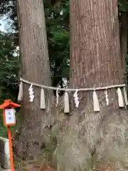 磯山神社(栃木県)