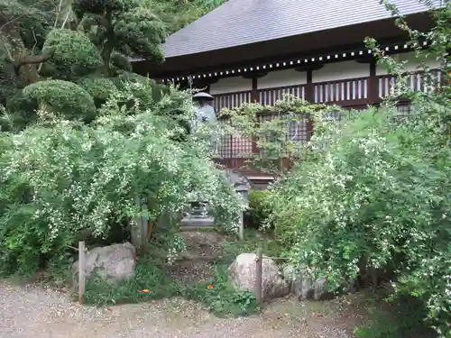 大悲願寺(東京都)