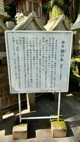 朝護孫子寺(奈良県)