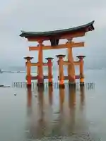 厳島神社の鳥居