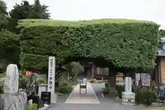 本勝寺の建物その他