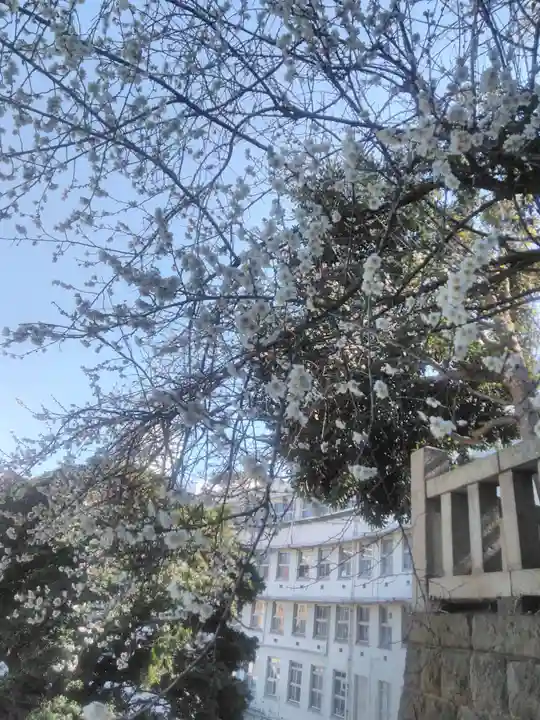 諏訪大神社の自然