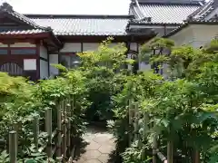 少林寺の建物その他