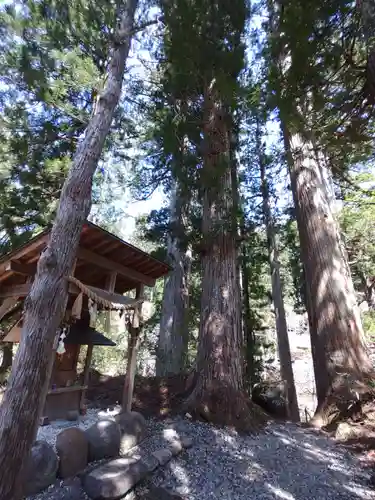 白山中居神社の自然