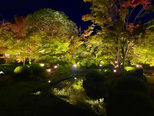 東寺（教王護国寺）(京都府)