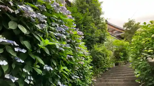 西法院(岡山県)