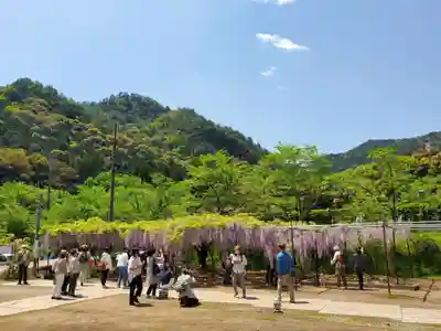 天台宗 五大山 白毫寺のその他建物