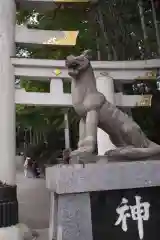 三峯神社の狛犬