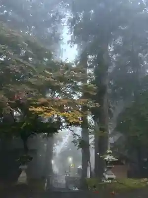 金櫻神社(山梨県)