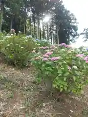 吉祥寺(栃木県)