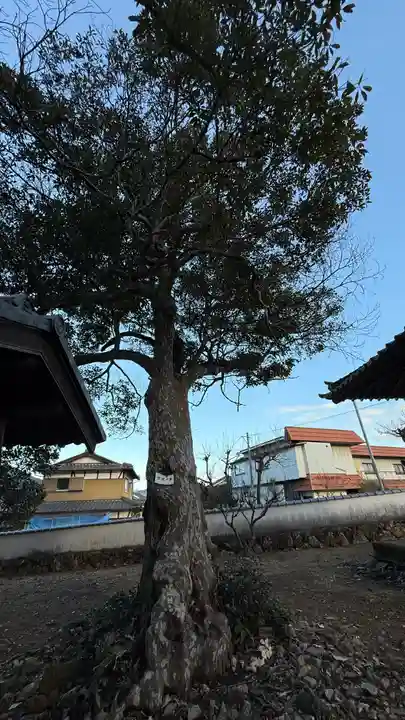 天満神社(兵庫県)