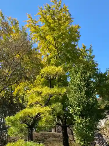 浅間神社の自然
