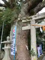 仁井田神社(高知県)