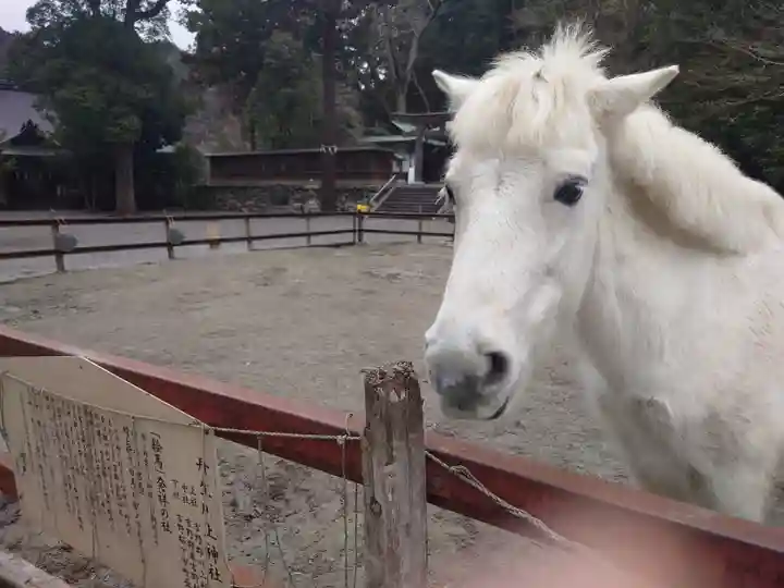 丹生川上神社(下社)(奈良県)