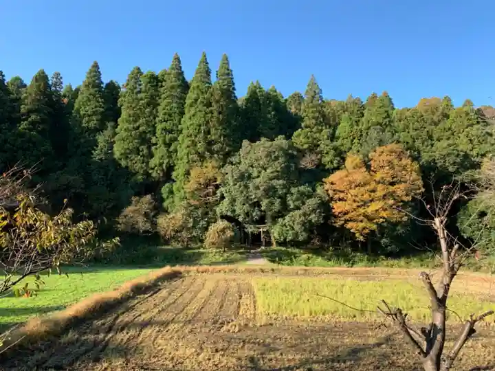 白山神社の周辺